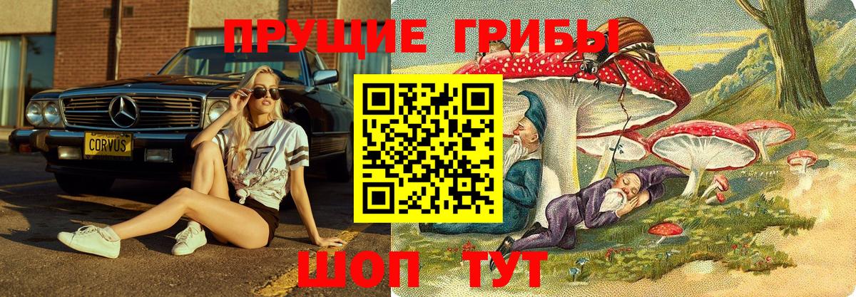 APVP Сафоново