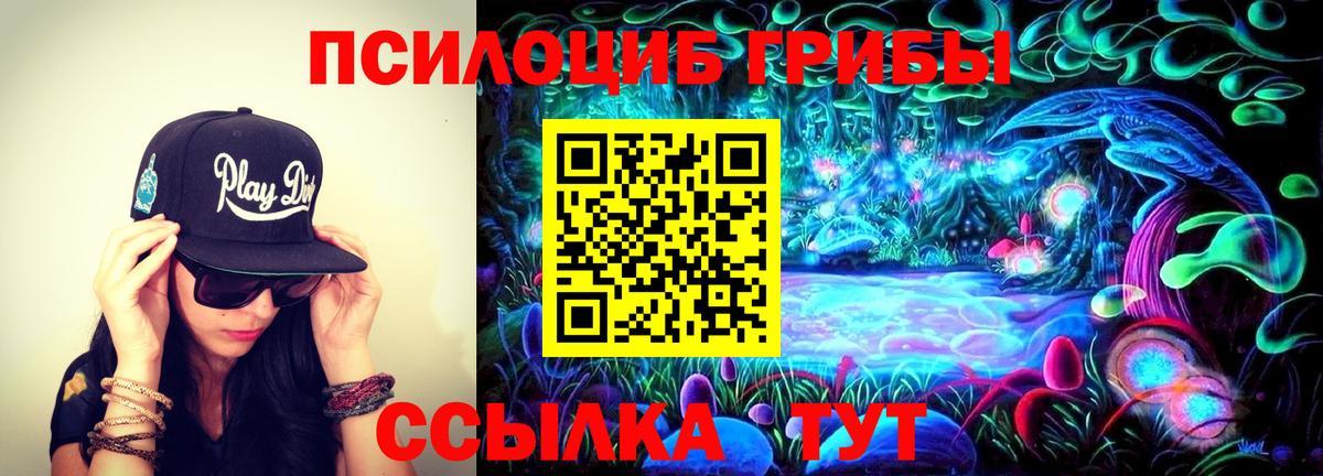 Сафоново  Галлюциногенные грибы Psilocybe  Вход с VPN  Псилоцибиновые грибы прущие грибы 