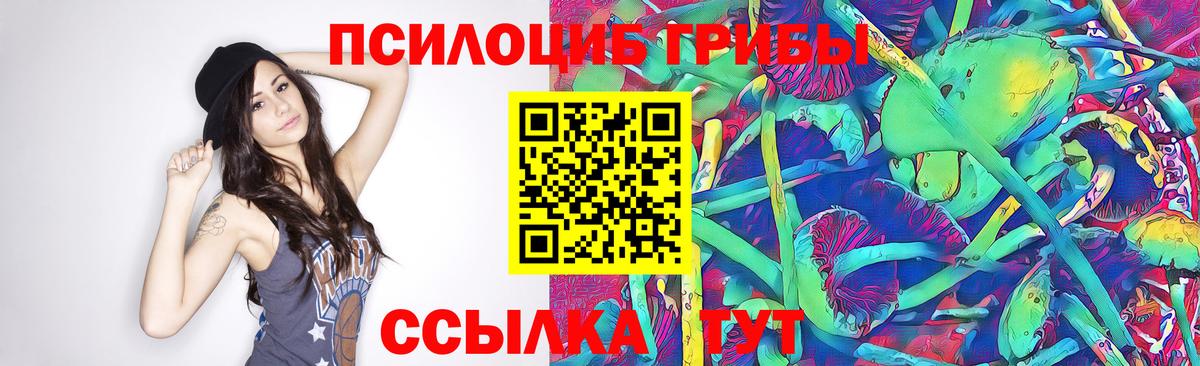 Галлюциногенные грибы Psilocybine cubensis Сафоново